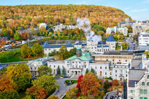 McGill University